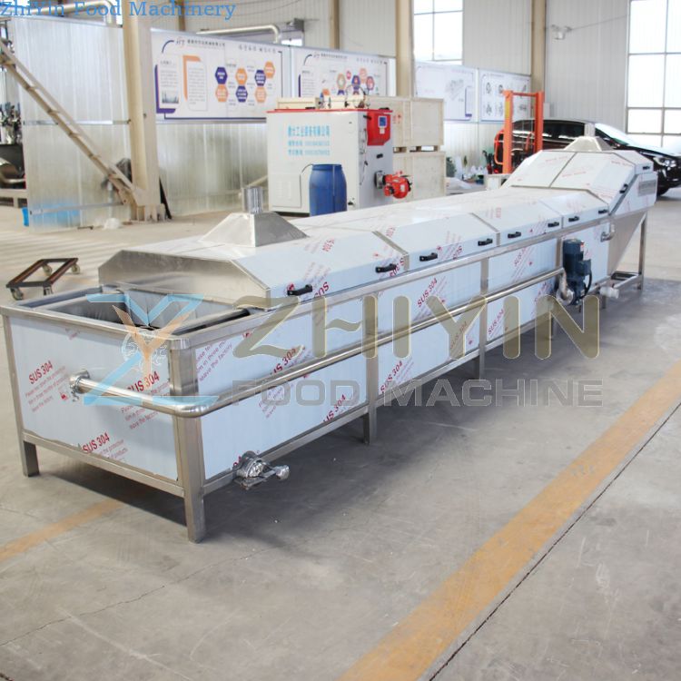 Industrial seafood blanching machine food pasteurization blanching machine fruit vegetables cucumber blanching machine