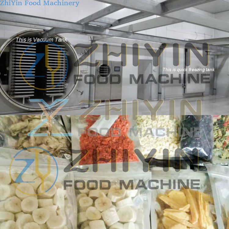 Food drying machine freeze dryer vacuum freeze drying equipment dry fruit machine freeze dry machine.