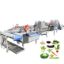 Vegetable Diced Cleaning And Processing Line Vegetable Slice Eddy Current Washing Machine