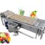 Vegetable Cleaning Washing Machine Bubble Ozone Sterilization Cleaner