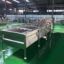 Bubble Washning Machine Root Vegetable And Fruit Diced Cleaning Machine