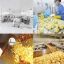 Potato Chips Production Line French Fries Making Machine Potato Chips Packing Machine