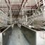Poultry Slaughtering Line Chicken And Duck Slaughtering, Hair Removal And Plucking Processing Production Line