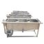 304 Stainless Steel Full Automatic Vegetable Washing Machine Diced Fruit And Root Vegetable Bubble Washing Cleaning Machine