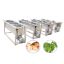 304 Stainless Steel Vegetable Cleaning Machine Leaf Root Vegetable Ozone Sterilization Sea Salt Bubble Washning Equipment