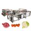 Automatic Industrial Root Vegetable Mango Cherry Jujube Bubble Washing Machine Fruits Vegetables Cleaning Processing Line