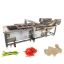 Vegetables Cleaning Washing Machine Automatic Bubble Washing Machine Fruits Root Vegetable Washing Processing Equipment
