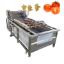 Pickles Sauce Package Processing Machinery Vegetable Fruit Cleaning Equipment Vegetable Fruit Diced Bubble Washing Machinery