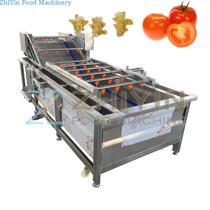 Pickles Sauce Package Processing Machine Vegetable Fruit Cleaning Equipment Vegetable Fruit Diced Bubble Washing Machinery