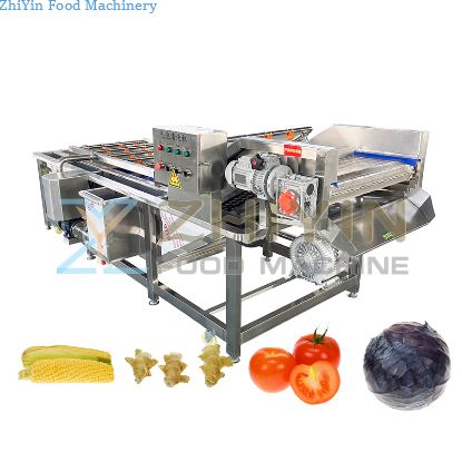 Sauce And Dried Vegetable Package Processing Equipment Vegetable Fruit Diced Bubble Washing Cleaning Machinery