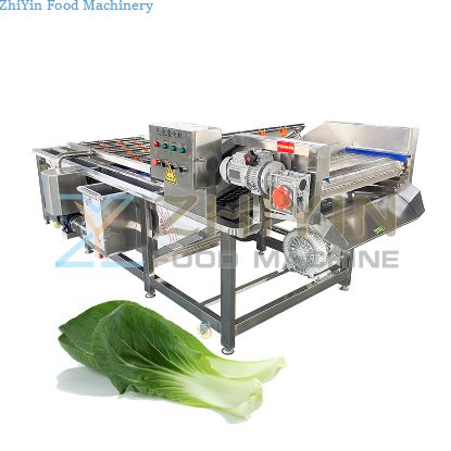 Vegetable And Fruit Washing Cleaning Processing Equipment Vegetable Fruit Diced Bubble Washing Cleaning Machinery