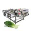 Vegetable And Fruit Washing Cleaning Processing Equipment Vegetable Fruit Diced Bubble Washing Cleaning Machinery