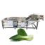 Root Leaf Vegetables Air Bubble Washing Processing Equipment Frozen Seafood Thawing Tamarisk Bubble Washing Cleaning Machinery