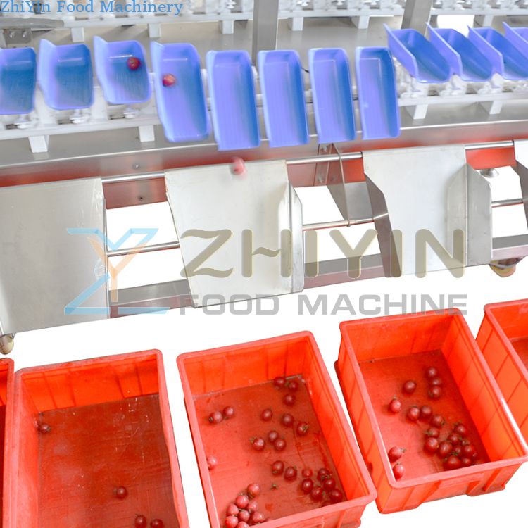 Lobster Crab Weighing And Sorting Machine Rotary Plate Type Seafood Fruit Weight Sorting Machine Kiwi Fruit Box Type Vegetable Weighing Equipment