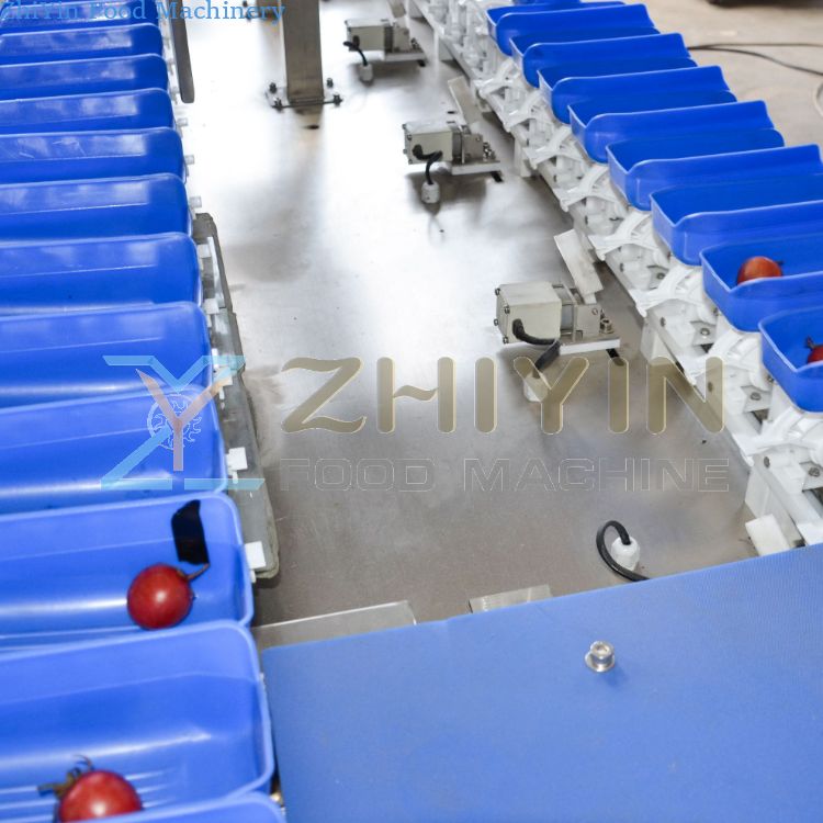 Rotating Disc Heavy Selection Equipment Seafood Fruit Gram Weight Measurement Sorting Machine Kiwi Vegetable Weighing Custom