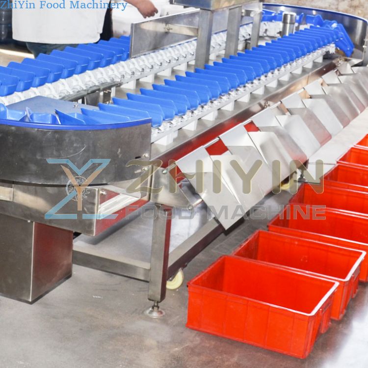 Seafood Quick-Frozen Fish Fillet Weighing And Selecting Machine Rotary Plate Gram Weight Measuring And Selecting Equipment Seafood Gram Weight Measuring And Sorting Machine Durian Meat Weighing Custom