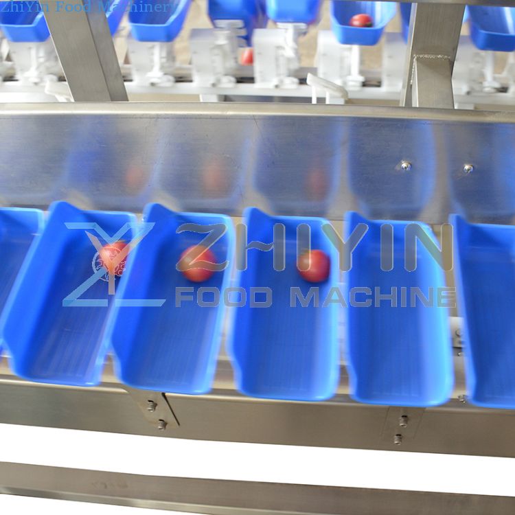 Rotary Plate Weighing Sorting Machine Kiwifruit Vegetables Seafood Fruit Gram Weight Measuring Equipment Grading Sorting Machine