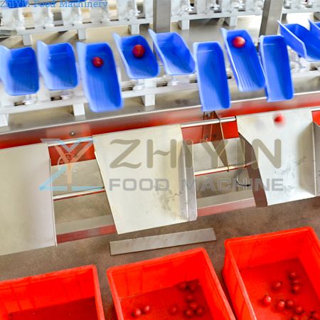 Picture for category Weighing And Sorting Machine